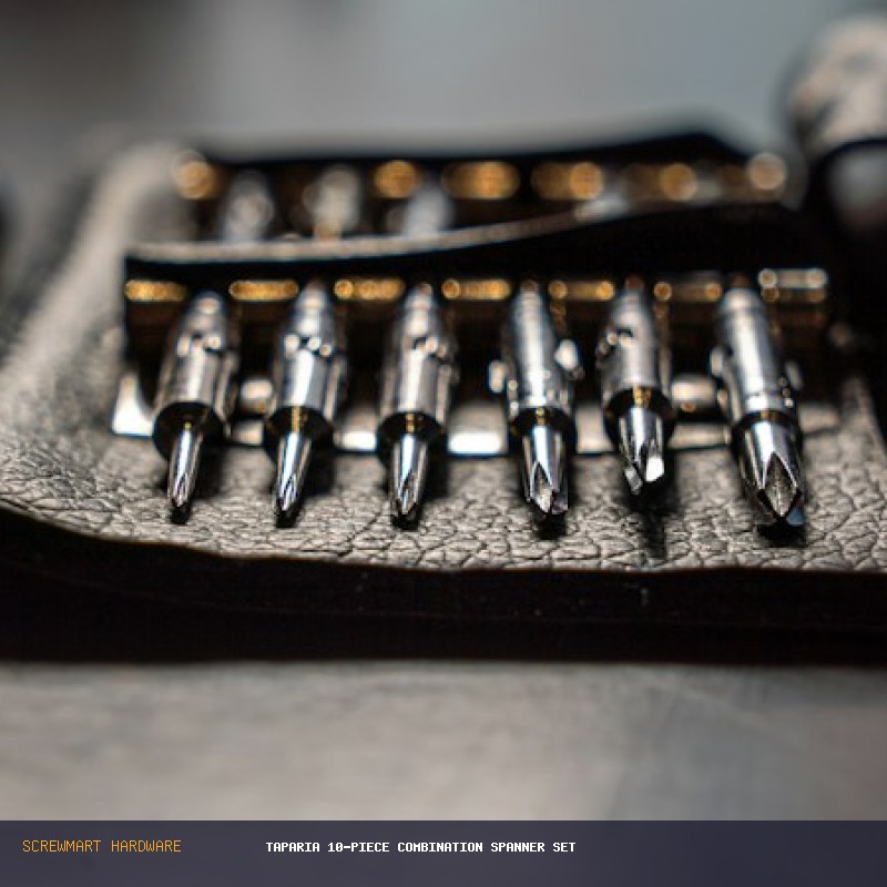 Taparia 10-Piece Combination Spanner Set (6-19mm)