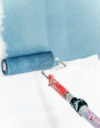 Paint & Adhesives